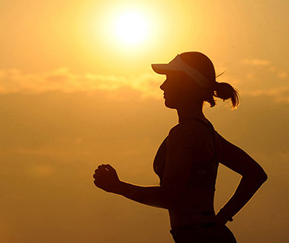 开云online(中国)文化简述